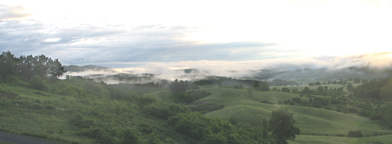 Misty Morning