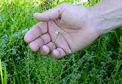 give it a hand